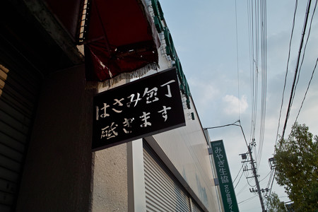 SDIM0029