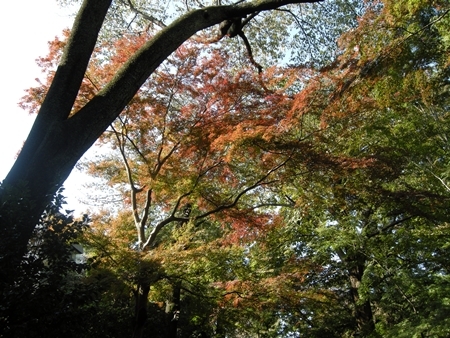DSCN1185