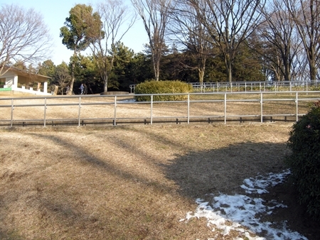 DSCN1726