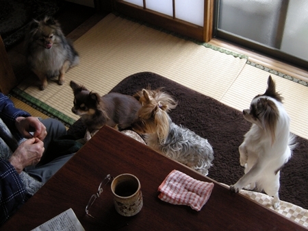 DSCN1980