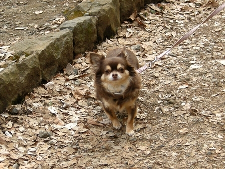 DSCN0198