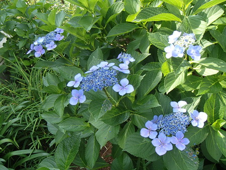 P6155889