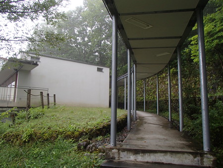 P8256302