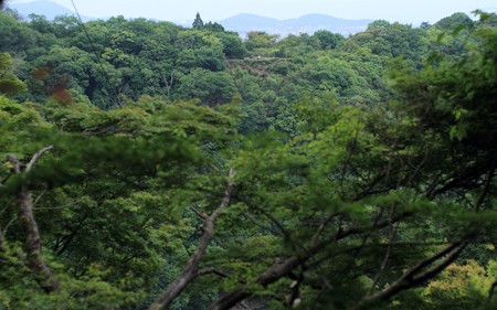 大悲閣(千光寺)17