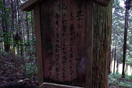 RIMG0799