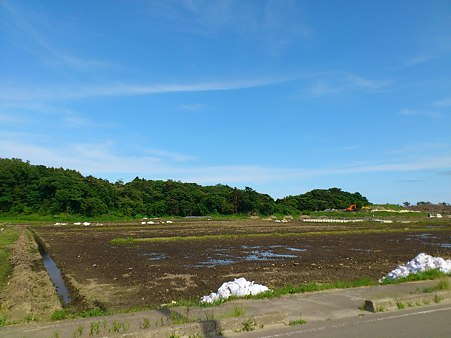 七ヶ浜