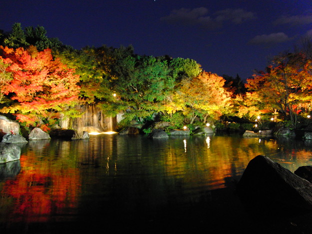 姫路好古園紅葉ライトアップ 照片共享頁面 攝影藏