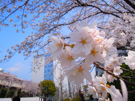 DSCN0788