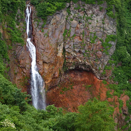P8084926