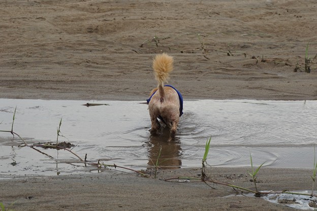 水遊び