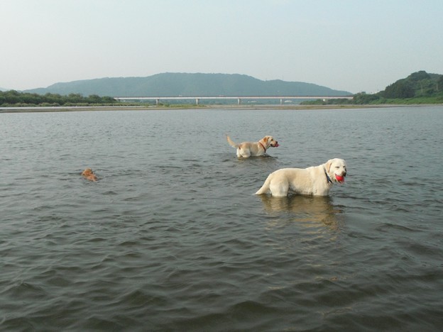 水遊び
