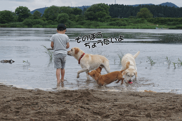 ちびっこと