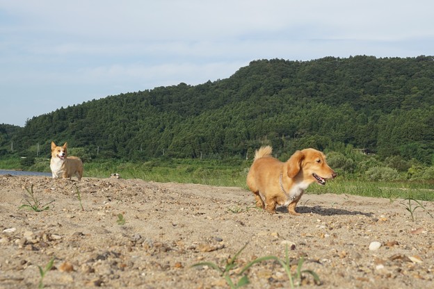 風　爽やか