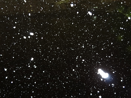夜の大雪12012301
