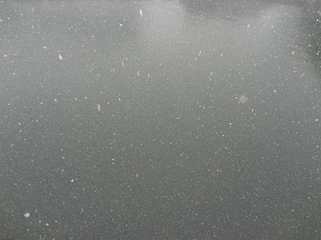 雪12022901