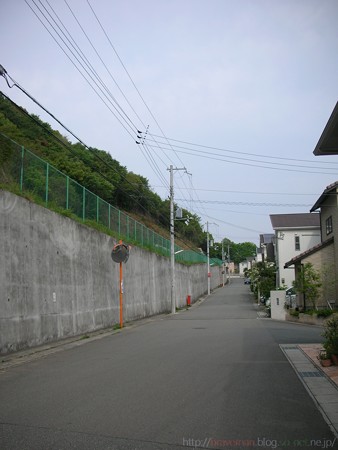 DSCN3825