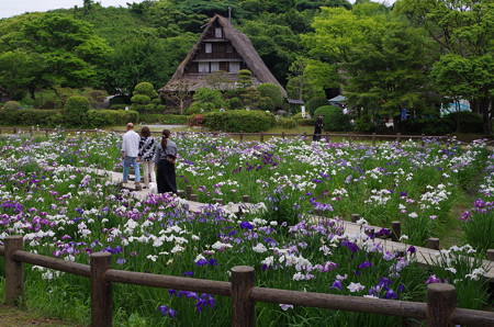 宮地嶽しょうぶ祭