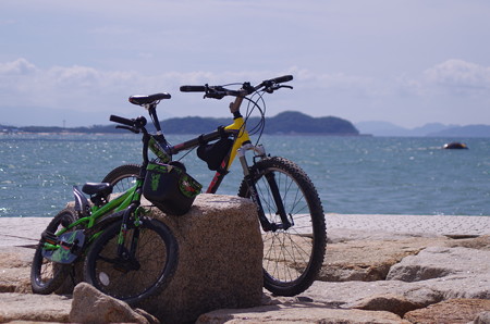 福間古賀海岸サイクリング