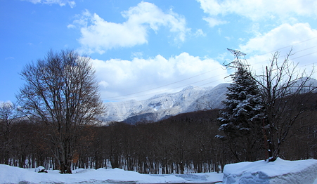 野草園より蔵王連峰を望む