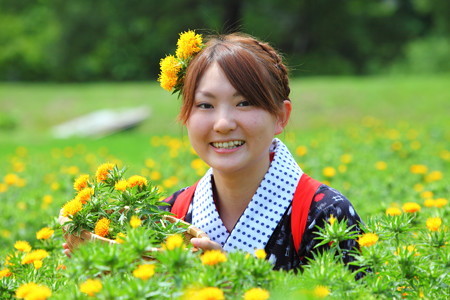 紅花娘