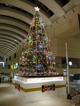 111122-QS ツリー (7)