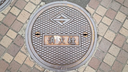 150604-横浜 マンホール (5)