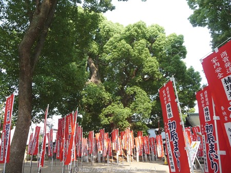 150615-住吉大社 (30)
