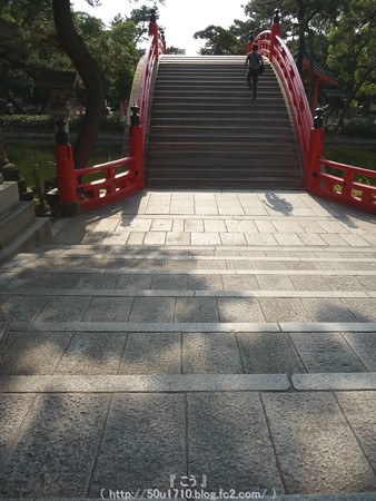 150615-住吉大社 (36)