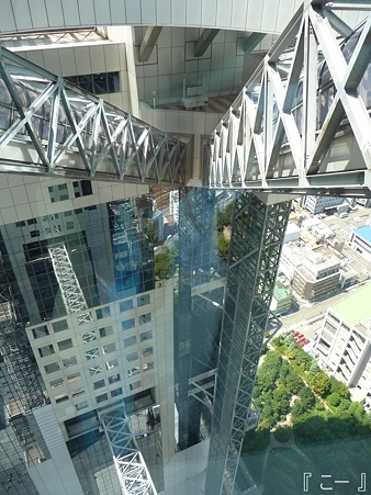110829-空中庭園 (14)