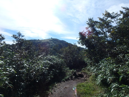 P9050010