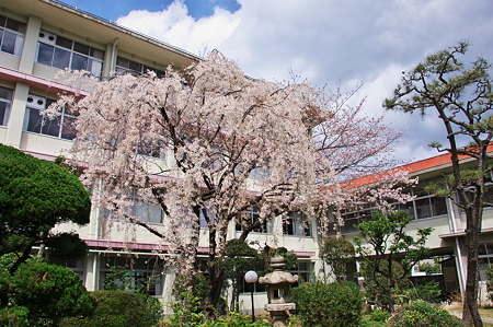 大阪府立桜塚高校　中庭