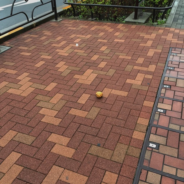 ジャガイモ