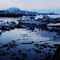 Photos: 干潮の港