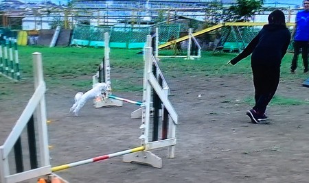 image1