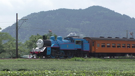 抜里付近で大井川トーマス