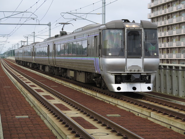 スーパーカムイ３号 ＮＥ‐５０１ ＠函館本線：野幌