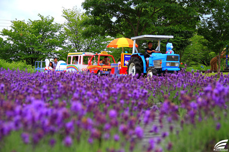 Blog_20150704_006