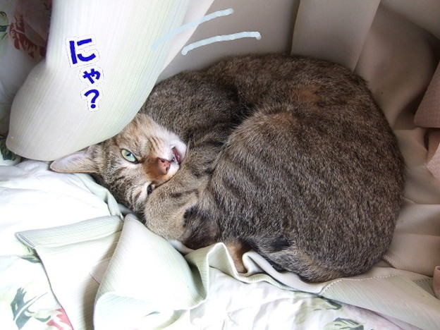 ぼくの得意技