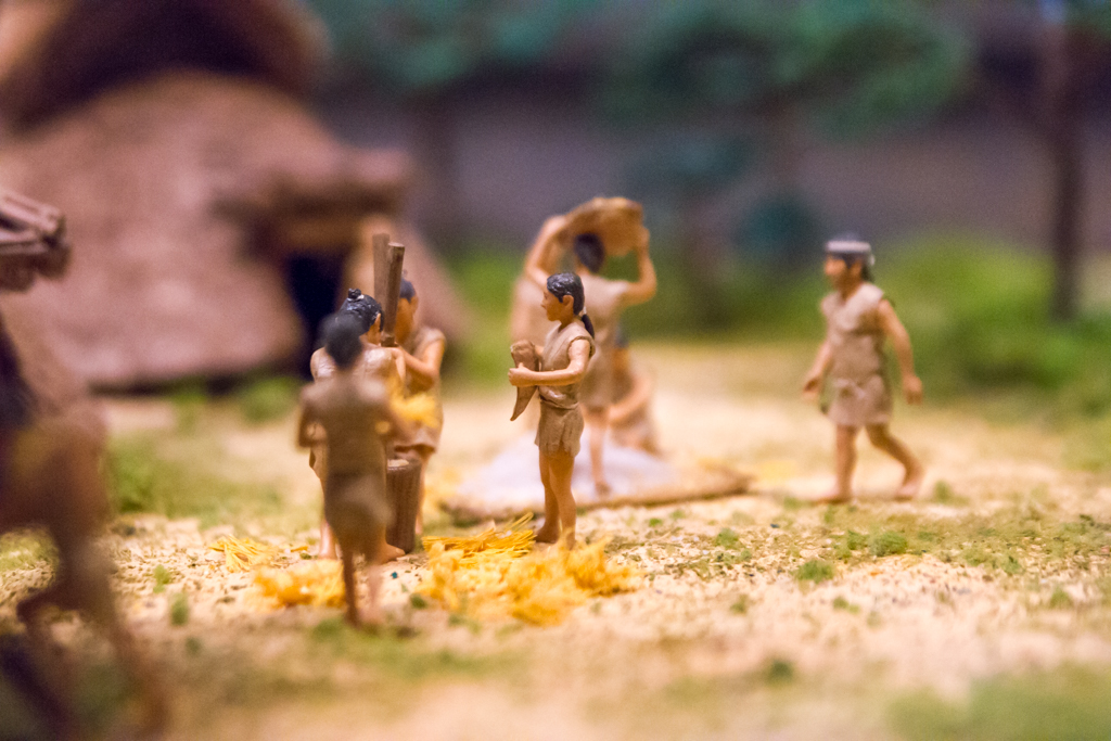 写真: IMG_7284