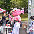 Photos: DSC_7498