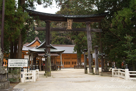 穂高神社 EOS7D SPAF 28-75(A09)