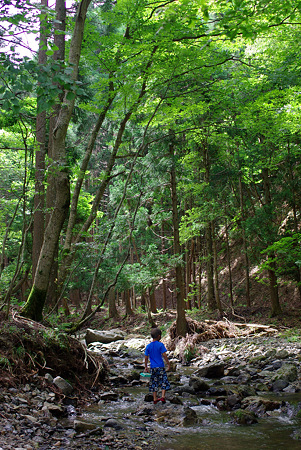 山の小川