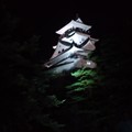 Photos: せっかくなので高知城にも登ってみるなうー …ぜえぜえ、や、痩せてし...