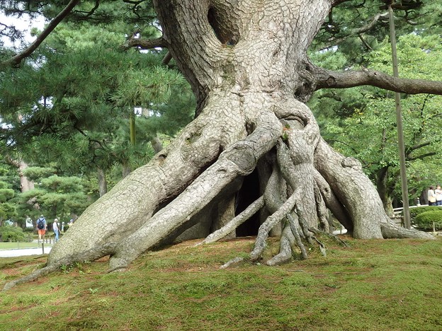 兼六園