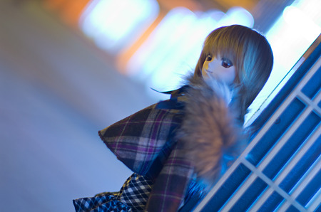 IMGP4984