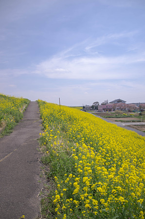IMGP6751