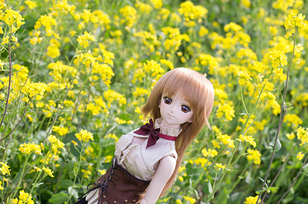 IMGP6787
