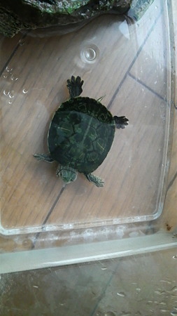 2012032406500000