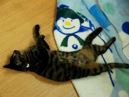 いちご