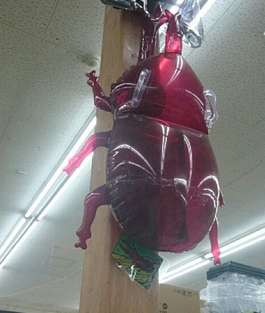 クワガタ